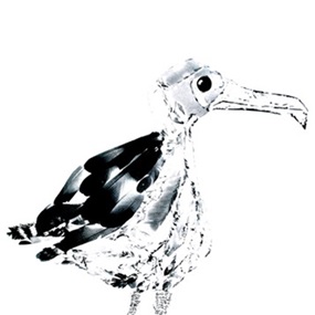 Greater Black Backed Gull by Liz Loveless