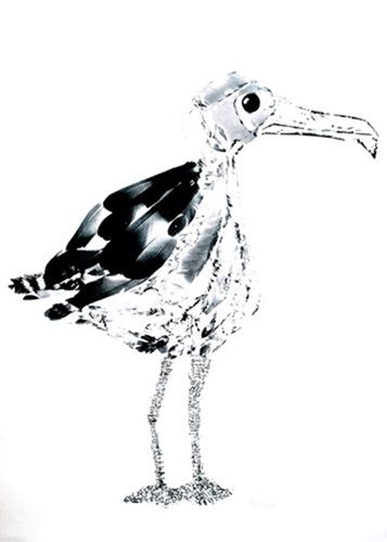 Greater Black Backed Gull  by Liz Loveless