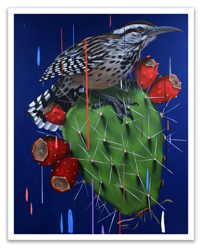 Cactus Wren & Nopal  by Frank Gonzales