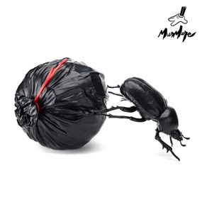 Dung Beetle by Murmure
