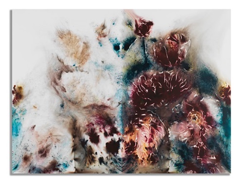 Yin-Yang Peonies  by Cai Guo-Qiang