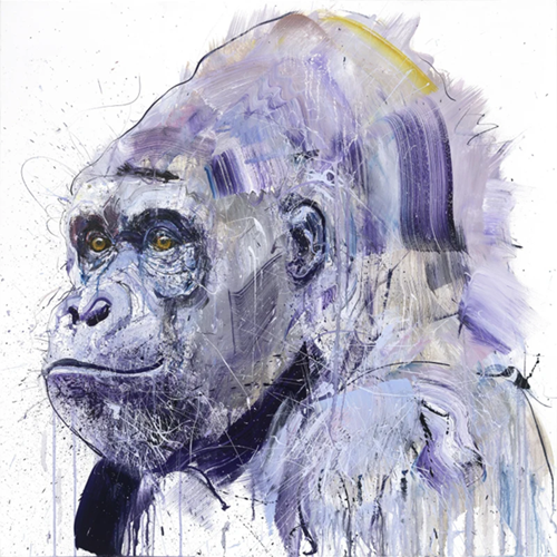 Silverback VII  by Dave White