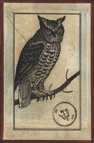 Perched  by Ravi Zupa
