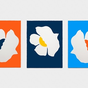 Three Blooms by Paul Kremer