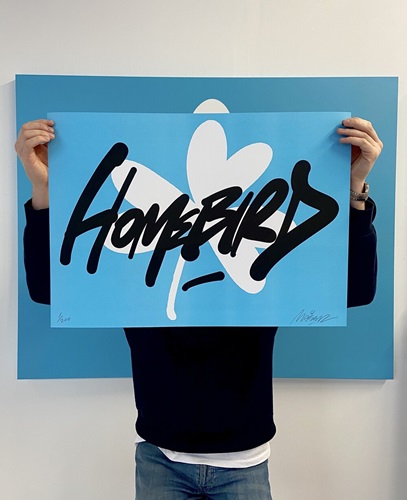 Homebird (First Edition) by Maser