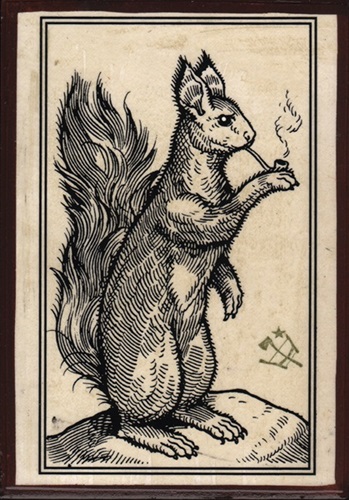 Squirrel Enjoying A Pipe  by Ravi Zupa