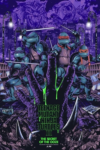 TMNT II - The Secret Of The Ooze  by Anthony Petrie