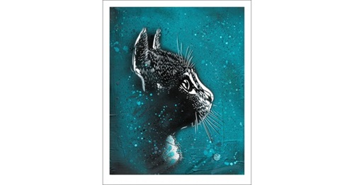 Felix (Cyan) by C215