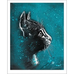 Felix (Cyan) by C215