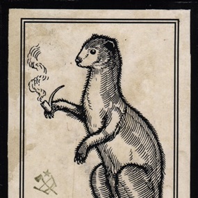 Ermine Enjoying A Pipe by Ravi Zupa