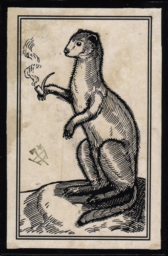 Ermine Enjoying A Pipe  by Ravi Zupa