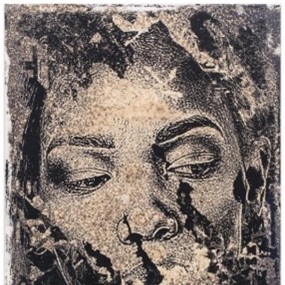 Taciturn (First Edition) by Vhils
