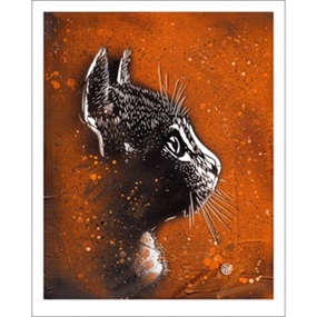 Felix (Orange) by C215