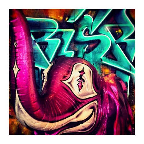 Pink Elephant  by Risk