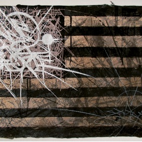 Flag 2010 (Black & White) by Saber