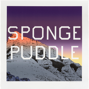 Sponge Puddle by Ed Ruscha