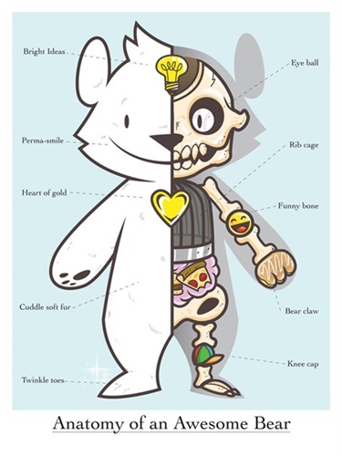 Anatomy Of An Awesome Bear  by Philip Lumbang