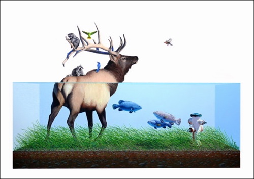 Evacuation  by Josh Keyes