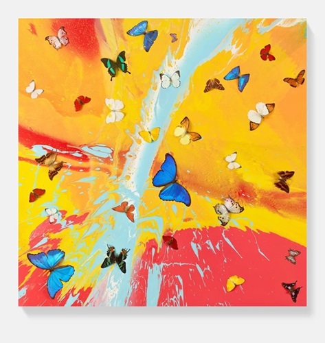 H19-1 Aurora Dawn (Timed Edition) by Damien Hirst
