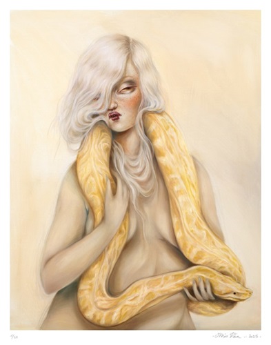 Indomable II  by Miss Van