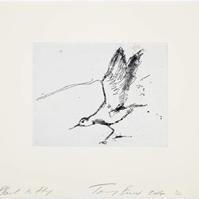 About To Fly by Tracey Emin
