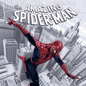 The Amazing Spider-Man by Chris Skinner