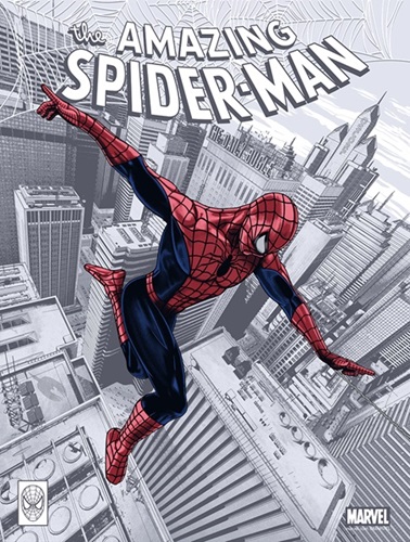 The Amazing Spider-Man  by Chris Skinner