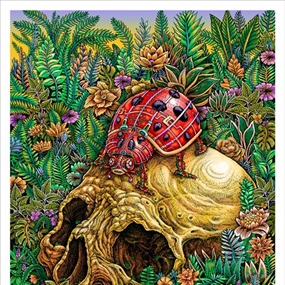 Lady Bug by Emek