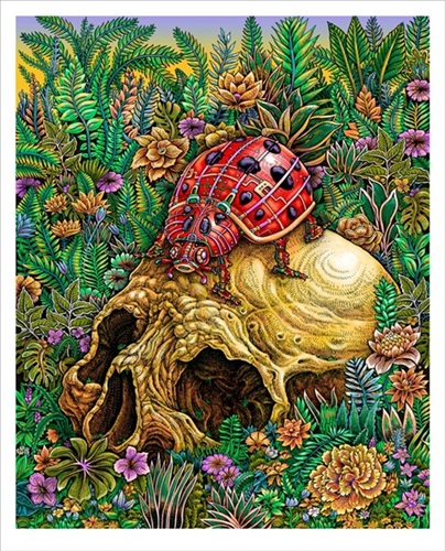 Lady Bug  by Emek