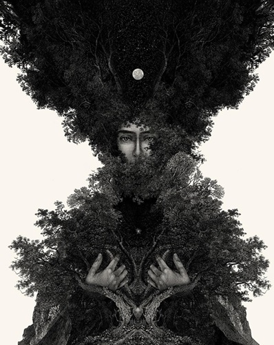 Revelator (First Edition) by Dan Hillier