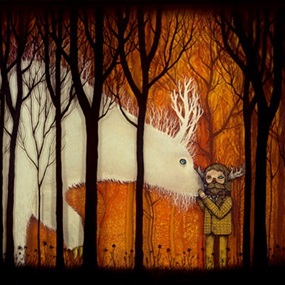 Companion by Andy Kehoe