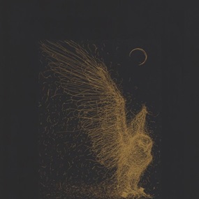 Circulated (Dusk) by DALeast