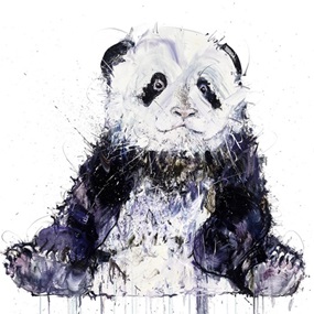 Young Panda II by Dave White
