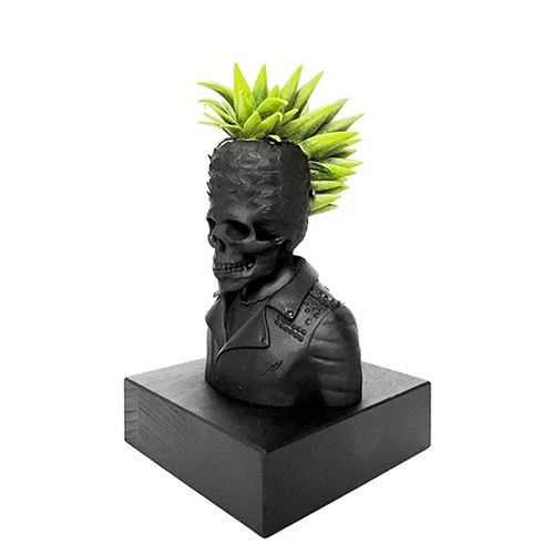 Punk Paradise  by Ludo