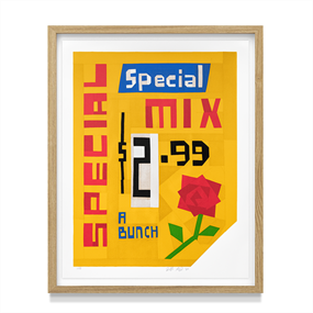 Special Special by Jeffrey Sincich