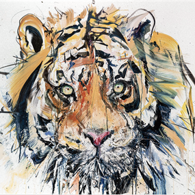 Tiger (Diamond Dust) by Dave White