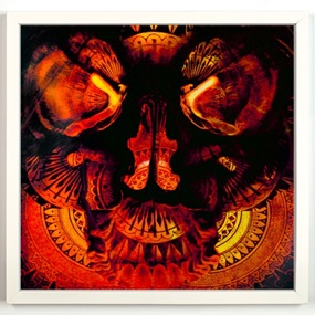 Ornamented Subconscious (Paper Edition) by Beau Stanton