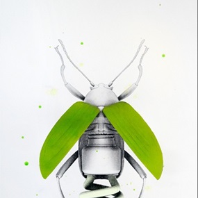 Lampyris Noctiluca (Hand-Finished) by Ludo