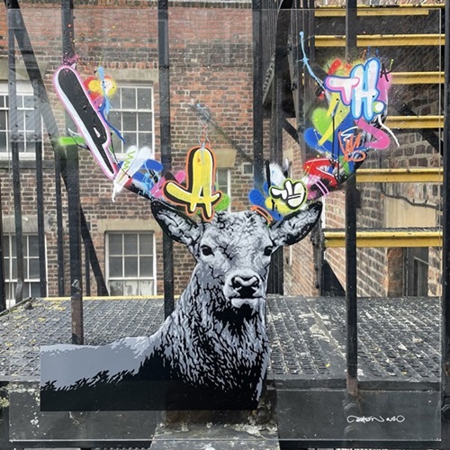 The Stag (Clear Acrylic) by Martin Whatson