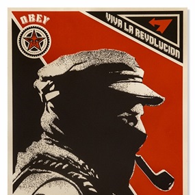 Marcos Profile by Shepard Fairey