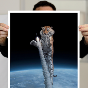 High Hopes (Small) by Joel Rea