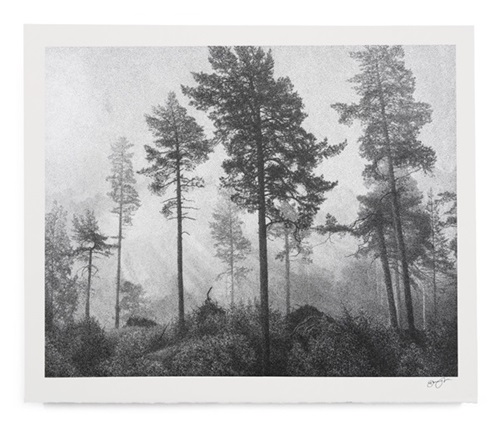 Even When The Fog Lies Thick And Heavy  by Danny Larsen