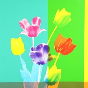 Tulips by Kate Gibb