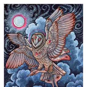 Moth Owl by Caitlin Hackett