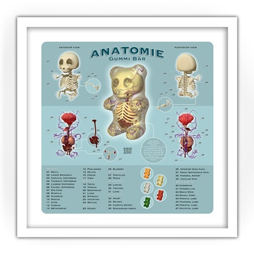 Anatomie  by Jason Freeny