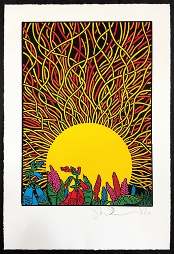 SOL (Timed Edition) by Stanley Donwood