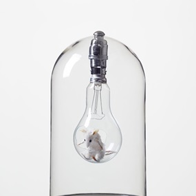 Mouse In Lightbulb by Nancy Fouts