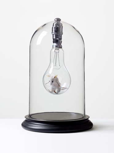 Mouse In Lightbulb  by Nancy Fouts