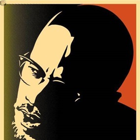 Malcolm X (Green) by Shepard Fairey