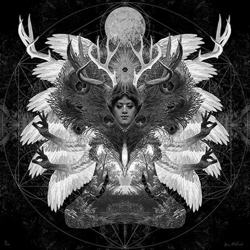 Dreamer Of The Ways (Large Format) by Dan Hillier